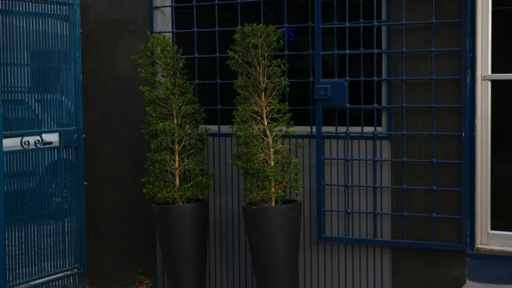 Ventana enrejada y plantas en la entrada de la tienda de Bertech.